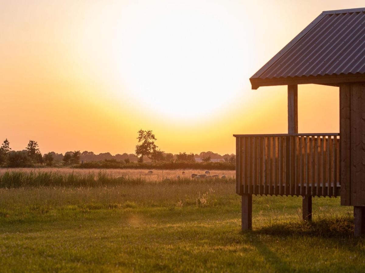 Composite Lodges With Shared Space In Drenthe Ruinerwold Exterior photo