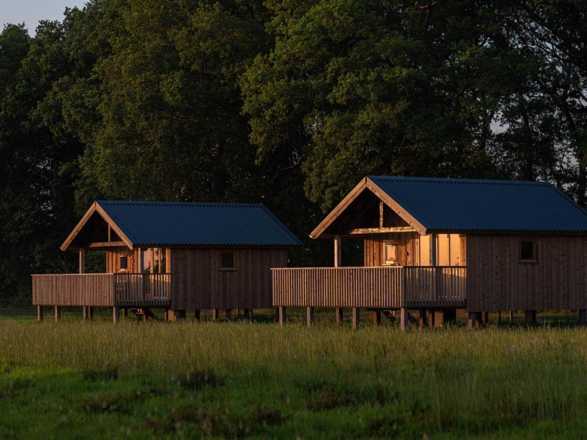 Composite Lodges With Shared Space In Drenthe Ruinerwold Exterior photo