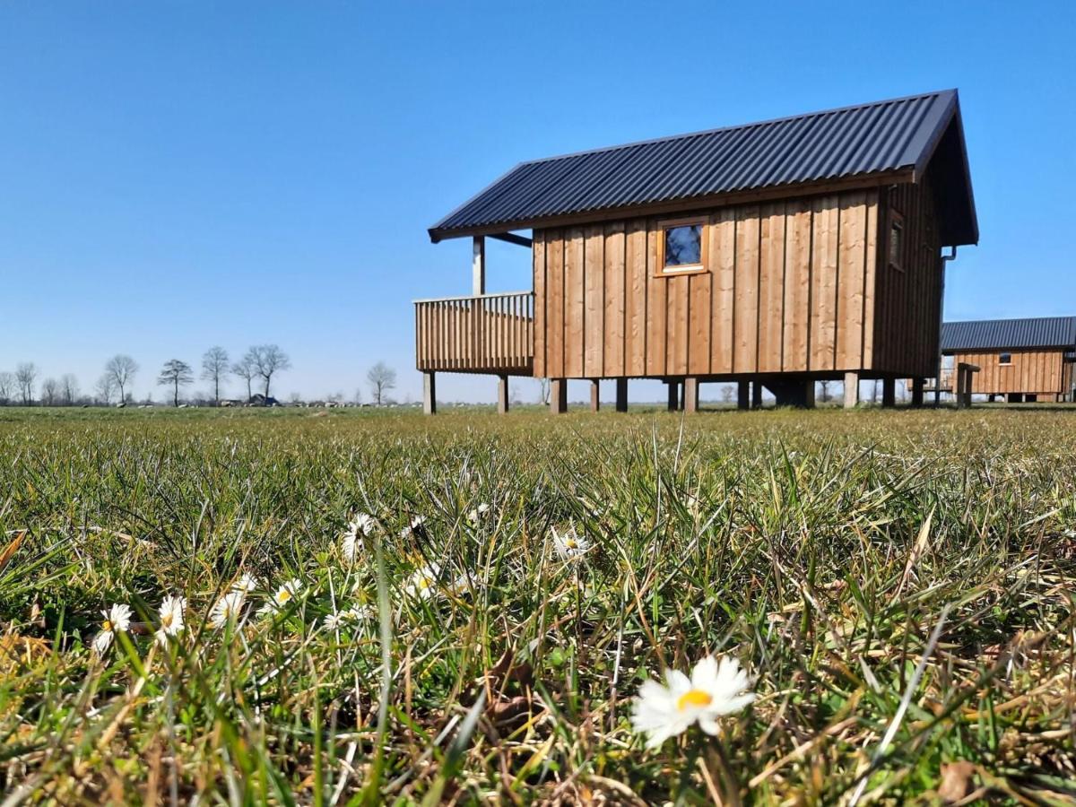 Composite Lodges With Shared Space In Drenthe Ruinerwold Exterior photo