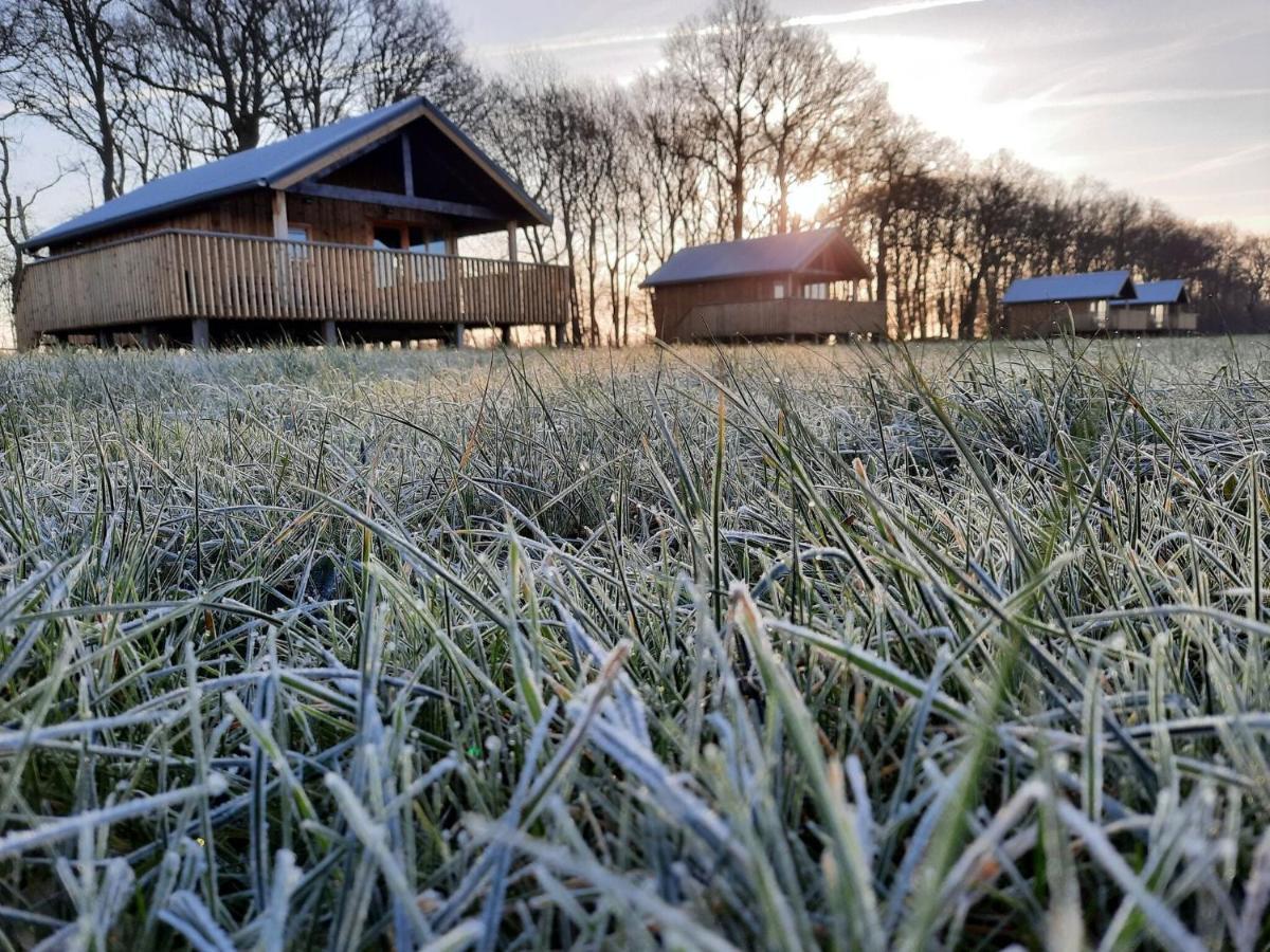 Composite Lodges With Shared Space In Drenthe Ruinerwold Exterior photo