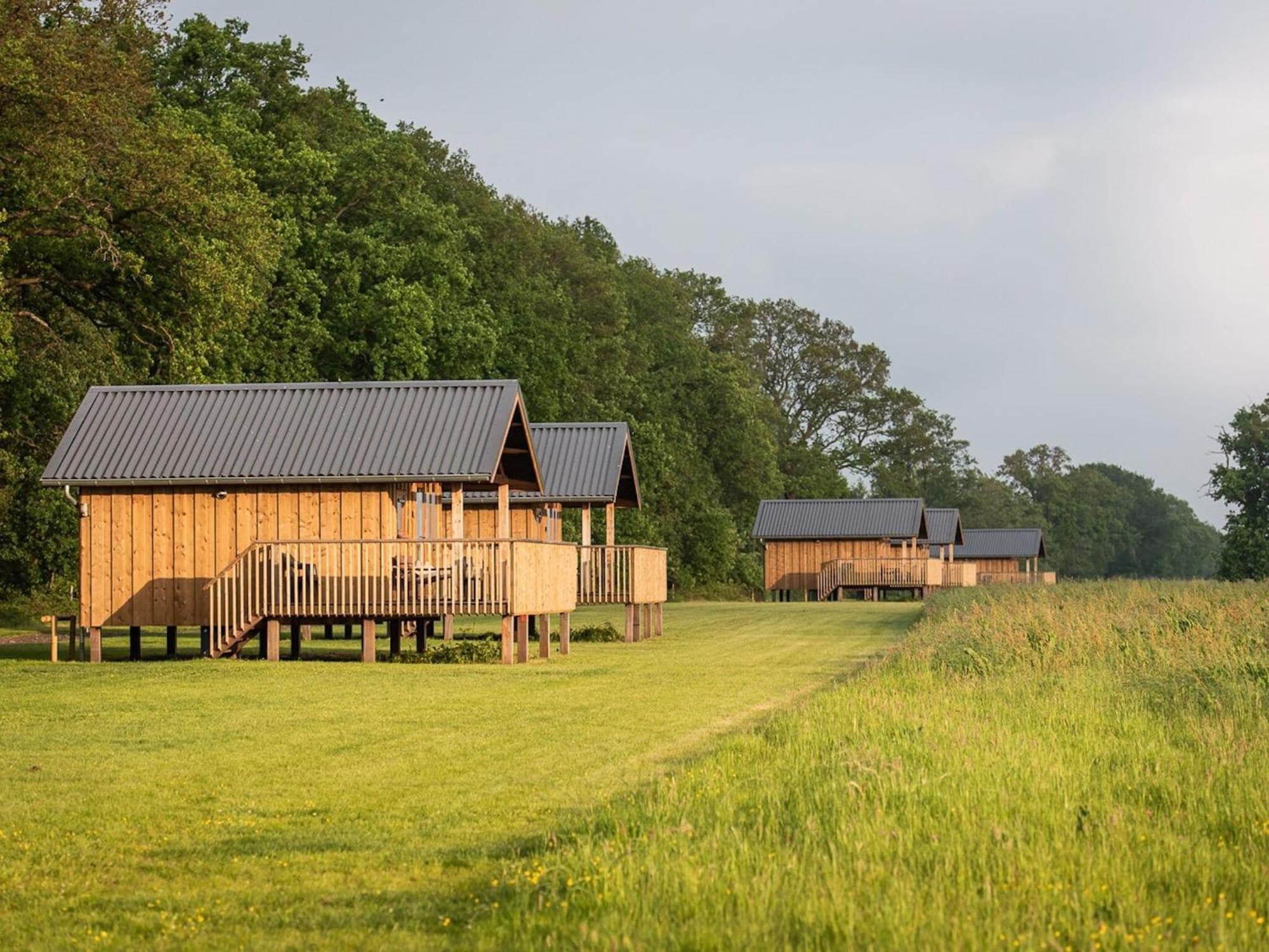 Composite Lodges With Shared Space In Drenthe Ruinerwold Exterior photo