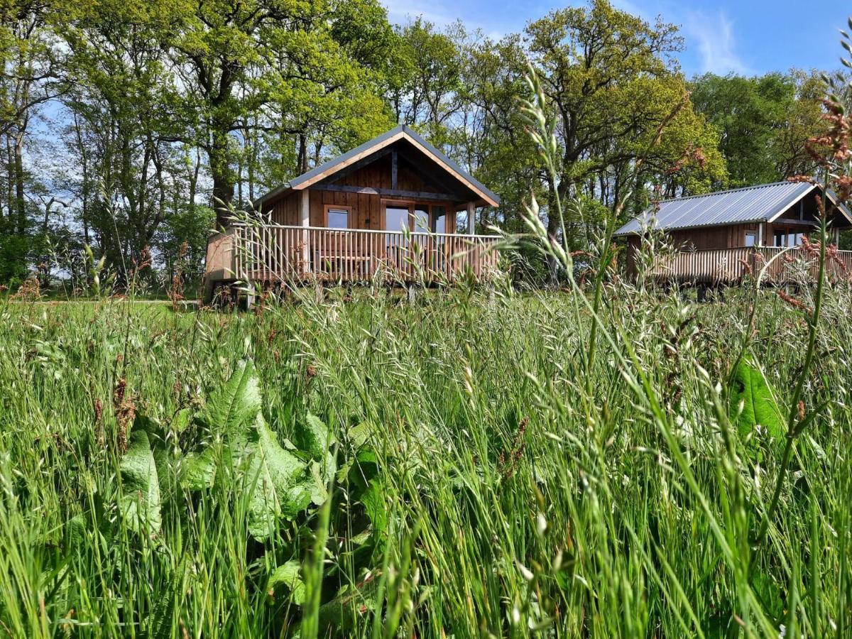 Composite Lodges With Shared Space In Drenthe Ruinerwold Exterior photo